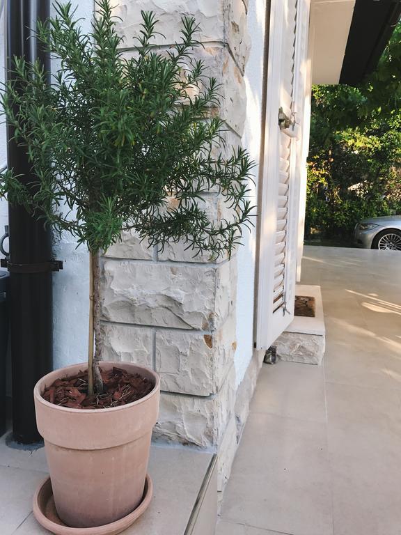 Apartment Puntica Петркане Екстериор снимка